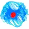 High Content Imaging Systems