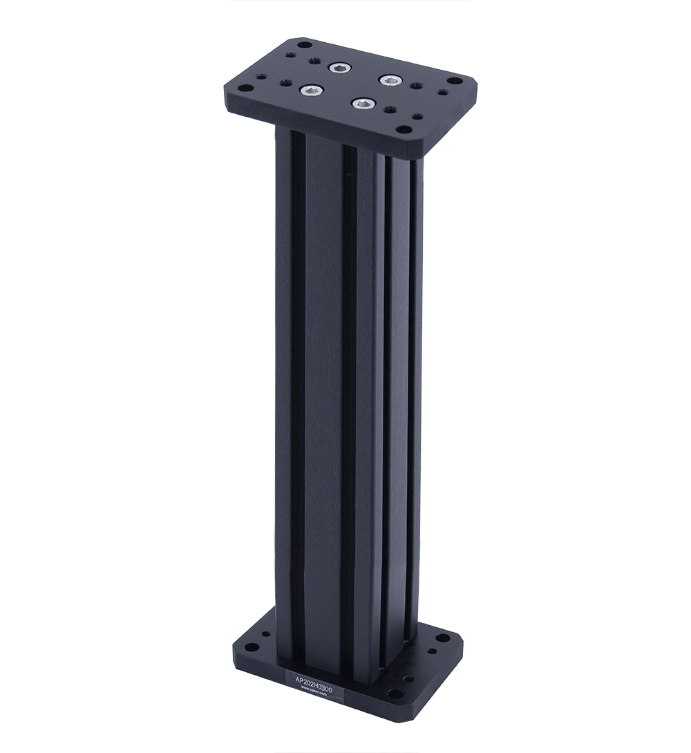 Photo of the AP202H0300