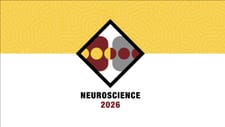SFN Neuroscience 2025 logo