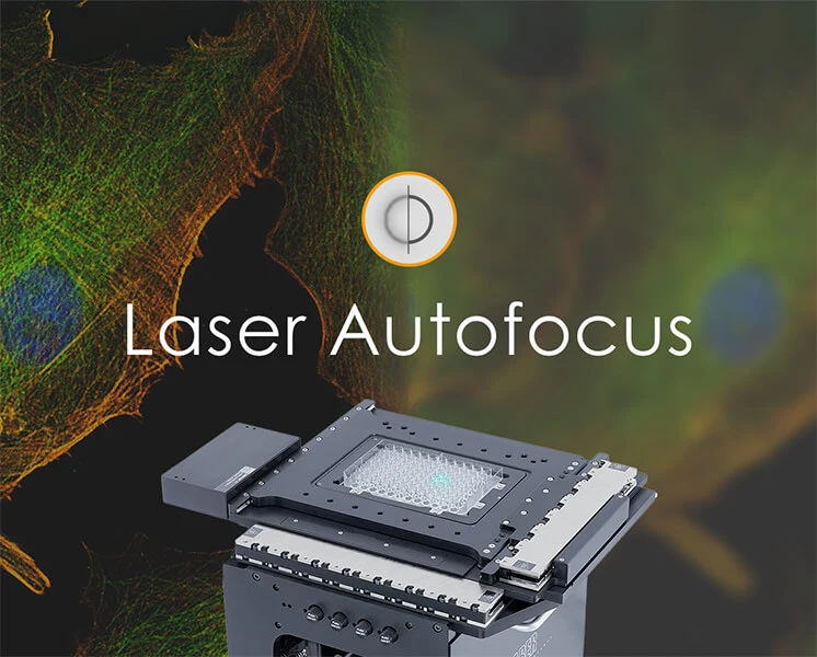Autofocus