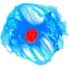 High Content Imaging Systems