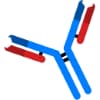 Antibody Discovery Systems