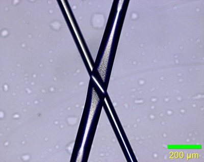 File:COL-STATE-Fiber w400.jpg