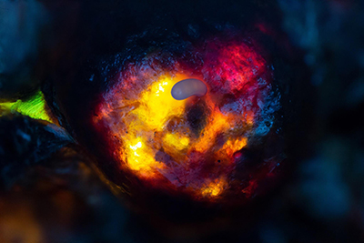 Filming bee's eye view larva