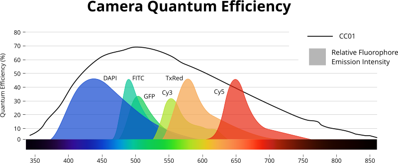 File:Quantum-efficiency-CC01.png