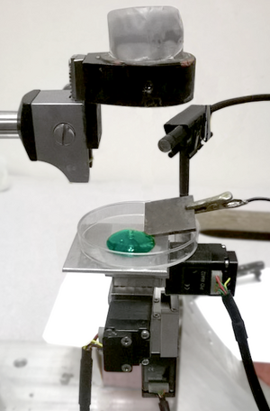 Default image for https://www.zaber.com/articles/university-of-cincinnati