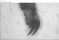 Thumbnail for version as of 18:34, 22 February 2022
