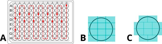 Plate-level and well-level scan optimizations