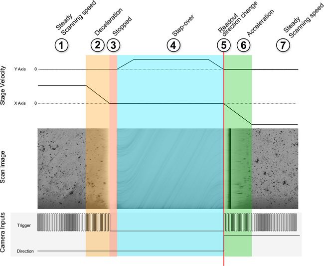Output image mapped to motion profile and IO signals