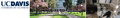 Thumbnail for version as of 23:18, 23 June 2022