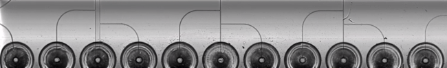 Microfluidic droplet generator scanned with TDI camera at 5x