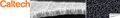 Thumbnail for version as of 17:03, 21 June 2022