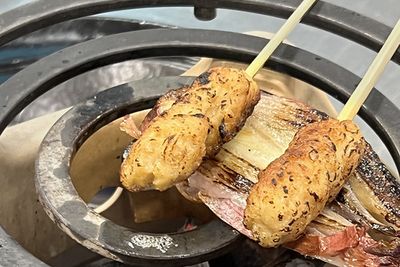Vow meat skewer on a grill