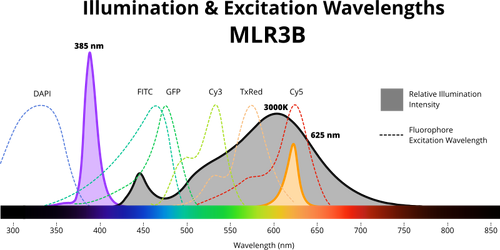 multi-dimensional scan