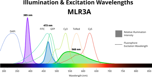 multi-dimensional scan