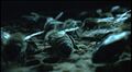 Thumbnail for version as of 13:20, 12 May 2022