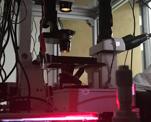 Default image for https://www.zaber.com/articles/princeton-university