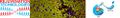 Thumbnail for version as of 17:38, 20 June 2022