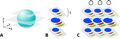 Thumbnail for version as of 09:01, 27 May 2022