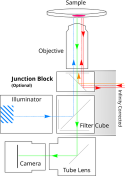 multi-dimensional scan
