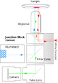 Thumbnail for version as of 10:09, 25 February 2022