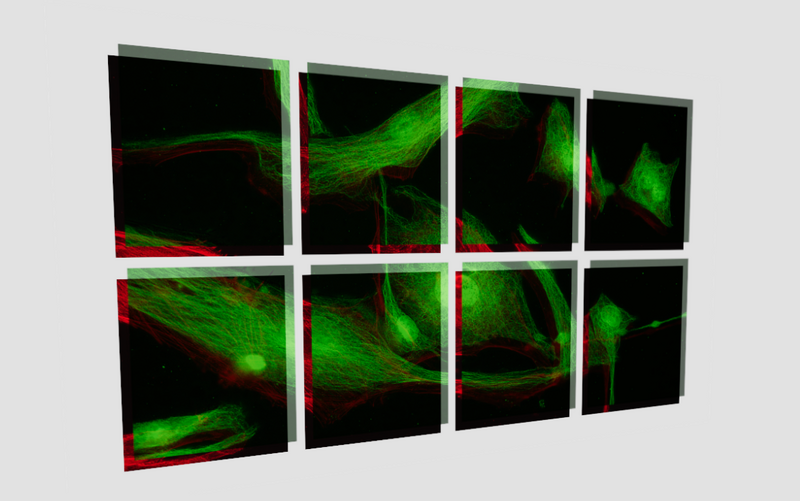 File:Multi-d-thumbnail.png