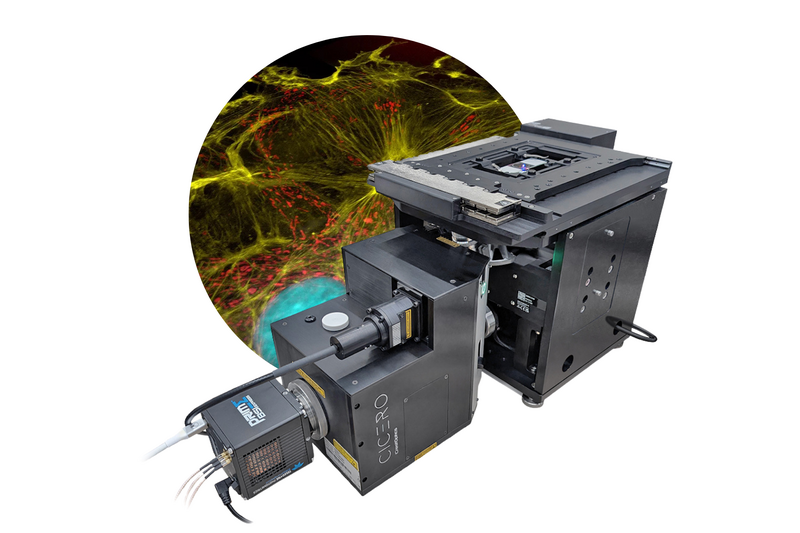 File:Confocal-thumb.png