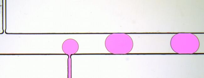 Droplet generator performance validated with Nucelus MVR microscope