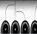 Thumbnail for version as of 11:48, 16 May 2023