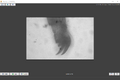 Thumbnail for version as of 18:38, 22 February 2022