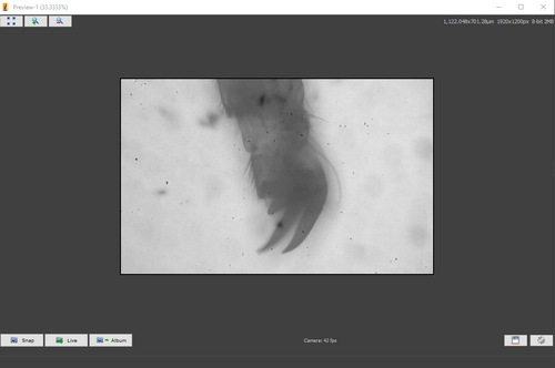 shallow depth of field can only focus one claw