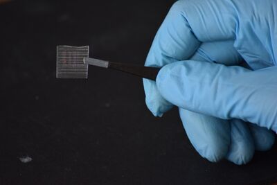 Sample containing suspended optically isolated polymer microfibers