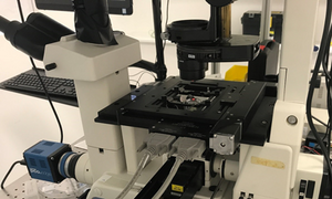 Default image for https://www.zaber.com/articles/princeton-university