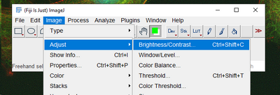 Brightness and contrast adjustments using ImageJ