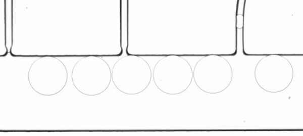 sample microfluidic droplets imaged with MVR