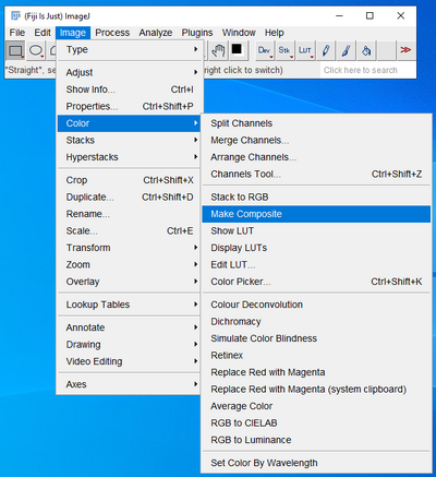 Making a composite image from an image stack in ImageJ