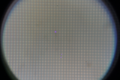 Thumbnail for version as of 12:24, 7 July 2022