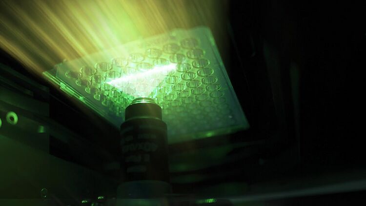 semiconductor and cellular imaging applications